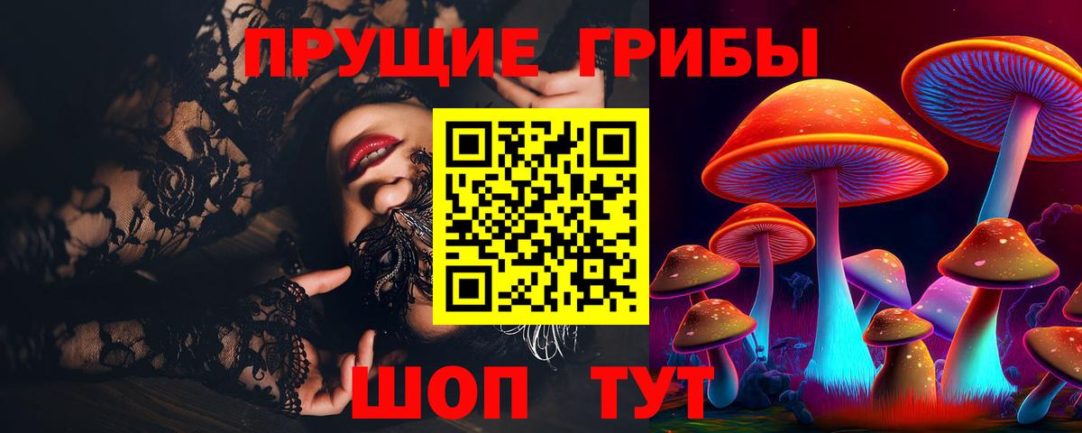 продажа наркотиков  Вход с VPN  Амурск  Псилоцибиновые грибы ЛСД 